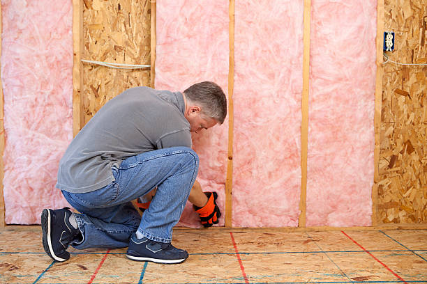 Best Residential Insulation in Eddystone, PA